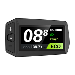 LCD Display SW-G19